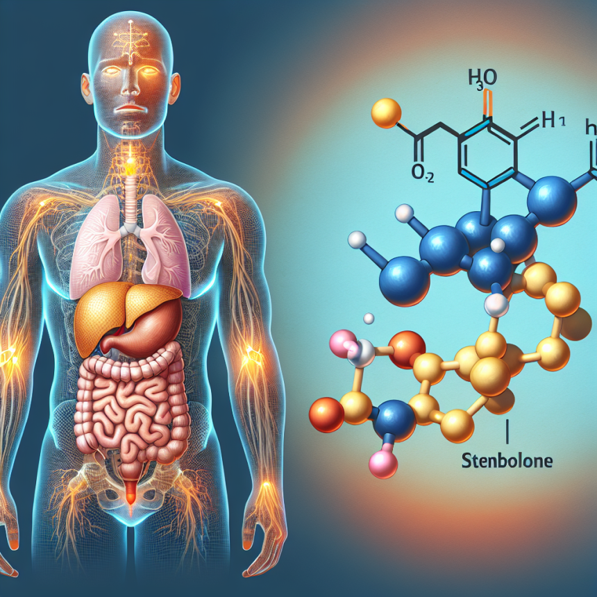 La stenbolone et les risques de dysfonctionnement hormonal